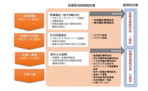 妊婦支援給付金の流れの図