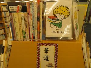 一般書コーナー展示②