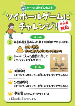 ソイホールゲーム　概要