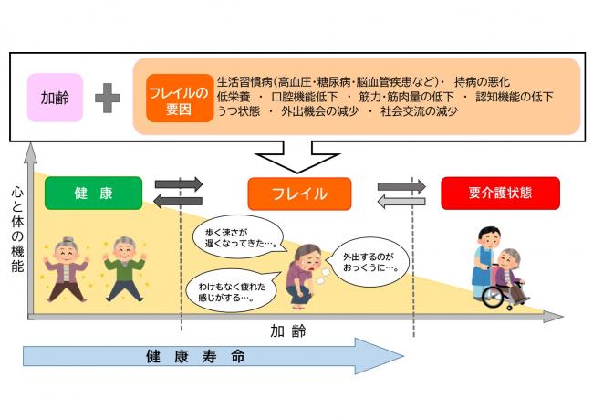 フレイル全体図