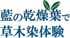 藍の乾燥葉をで草木染体験