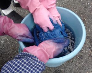 藍の乾燥葉で草木染