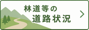 林道などの道路状況