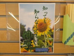 YA テーマコーナー①