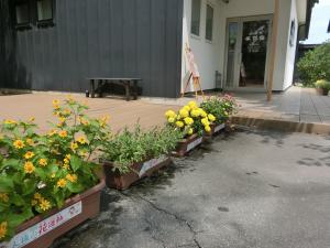 水彩館ドア前に並ぶ花