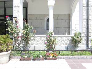 市美術館に並ぶ花
