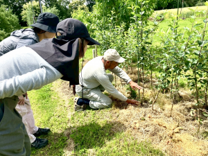 アーティストがりんご農家に苗について話を伺っている様子