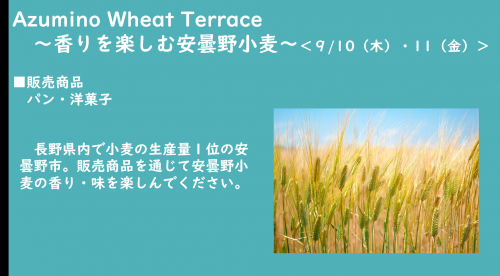 Azumino Wheat Terrace