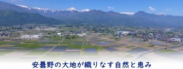 常設展示