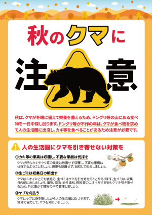 秋のクマに注意