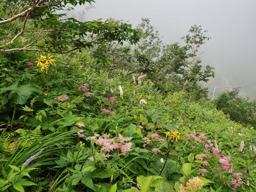 一の沢登山道