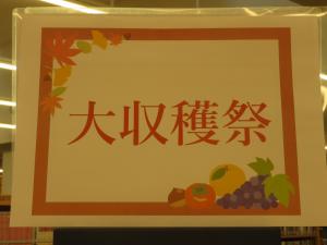 一般書 テーマ展示①