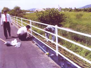 新たに整備された県道歩道脇の花壇