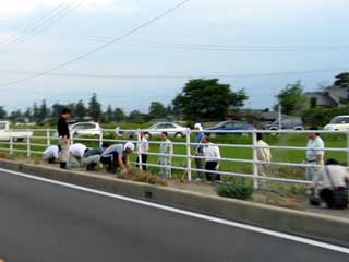 豊科地域県道沿いでの一斉定植の様子