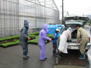 雨天の中での苗の配布