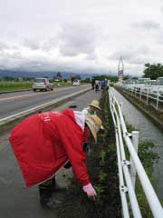 豊科地域の一斉定植作業