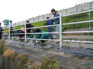 豊科地域の一斉定植作業