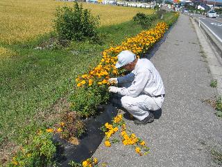 切り戻し作業