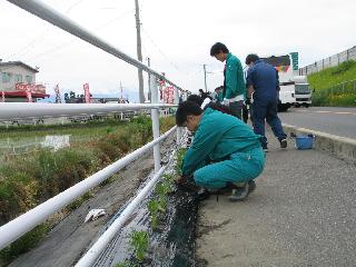 定植風景