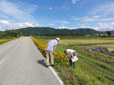 等々力橋