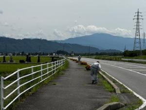 花街道写真【国道147号】
