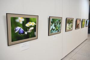 展示(1)